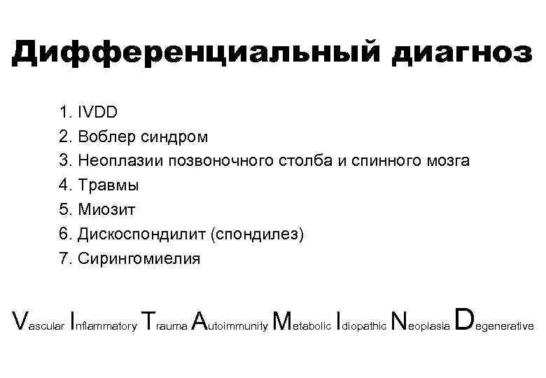 Дифференциальный диагноз 1. IVDD 2. Воблер синдром 3. Неоплазии позвоночного столба и спинного мозга