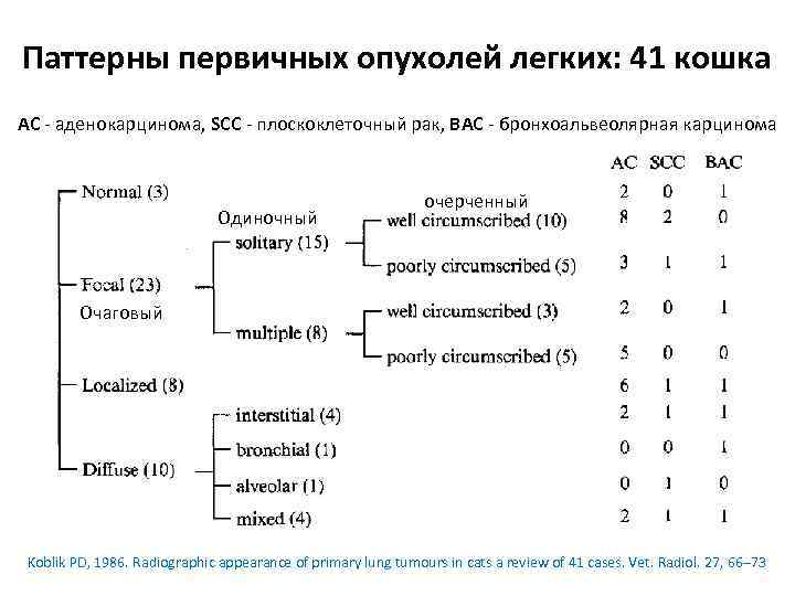 Паттерны первичных опухолей легких: 41 кошка АС ‐ аденокарцинома, SCC ‐ плоскоклеточный рак, BAC