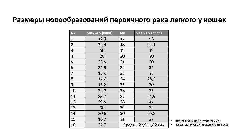 Размеры новообразований первичного рака легкого у кошек № 1 2 3 4 5 6