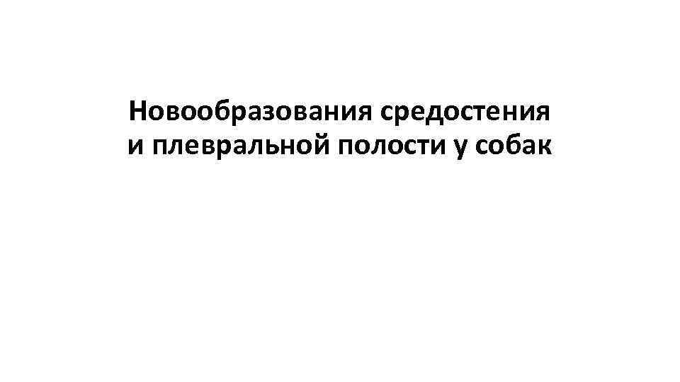 Новообразования средостения и плевральной полости у собак 