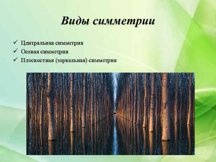 Виды симметрии ü Центральная симметрия ü Осевая симметрия ü Плоскостная (зеркальная) симметрия 