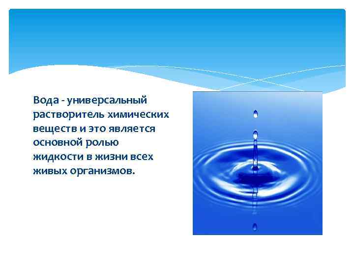Вода главная роль. Вода универсальный БИОРАСТВОРИТЕЛЬ проект. Вода универсальный растворитель. Вода в роли растворителя. Вода универсальный растворитель в организме.