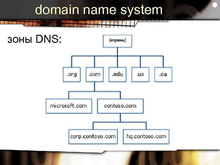 domain name system зоны DNS: 