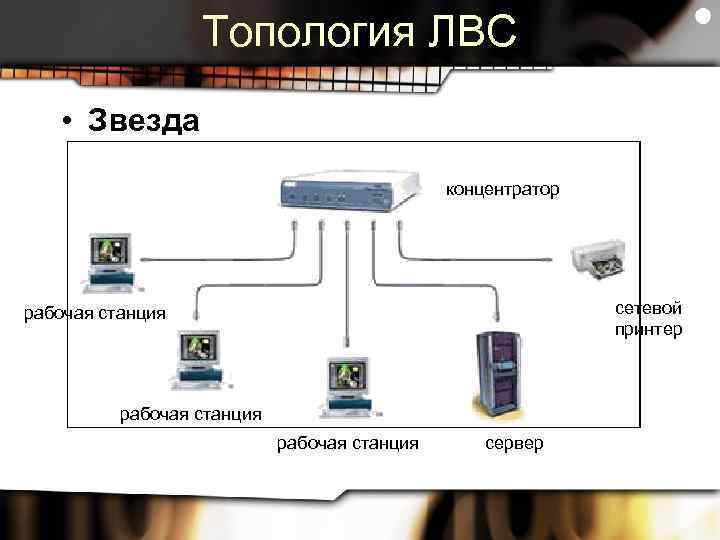 Топология ЛВС • Звезда концентратор сетевой принтер рабочая станция сервер 