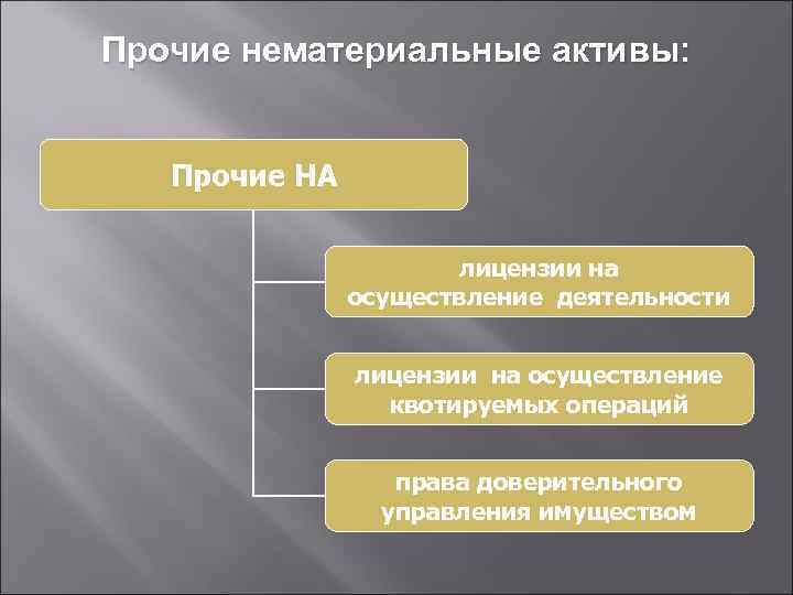 Прочие нематериальные активы: Прочие НА лицензии на осуществление деятельности лицензии на осуществление квотируемых операций