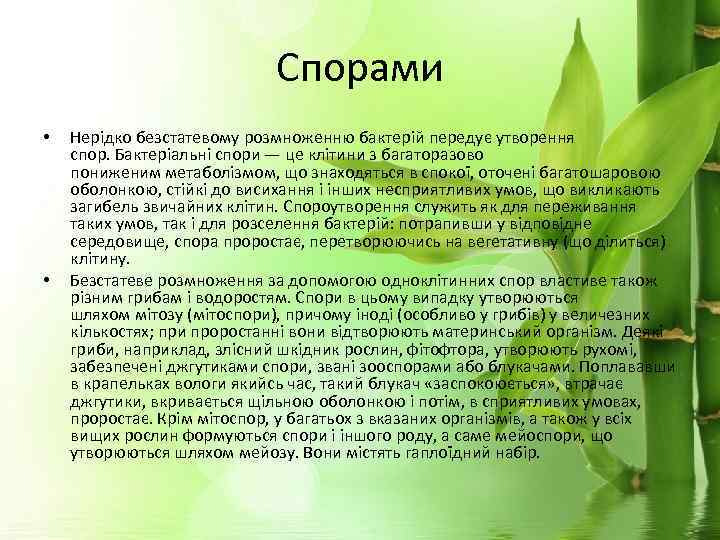 Спорами • • Нерідко безстатевому розмноженню бактерій передує утворення спор. Бактеріальні спори — це