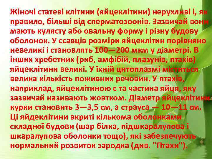  Жіночі статеві клітини (яйцеклітини) нерухливі і, як правило, більші від сперматозоонів. Зазвичай вони