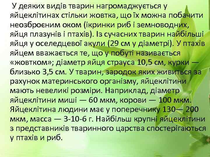  У деяких видів тварин нагромаджується у яйцеклітинах стільки жовтка, що їх можна побачити