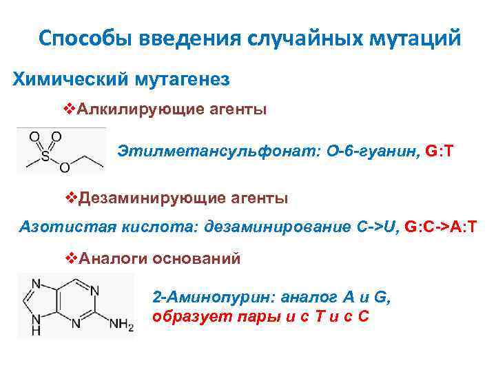 Способы введения случайных мутаций Химический мутагенез v. Алкилирующие агенты Этилметансульфонат: O-6 -гуанин, G: T