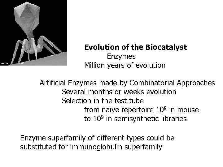 Evolution of the Biocatalyst Enzymes Million years of evolution Artificial Enzymes made by Combinatorial