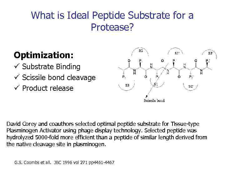 What is Ideal Peptide Substrate for a Protease? Optimization: ü Substrate Binding ü Scissile