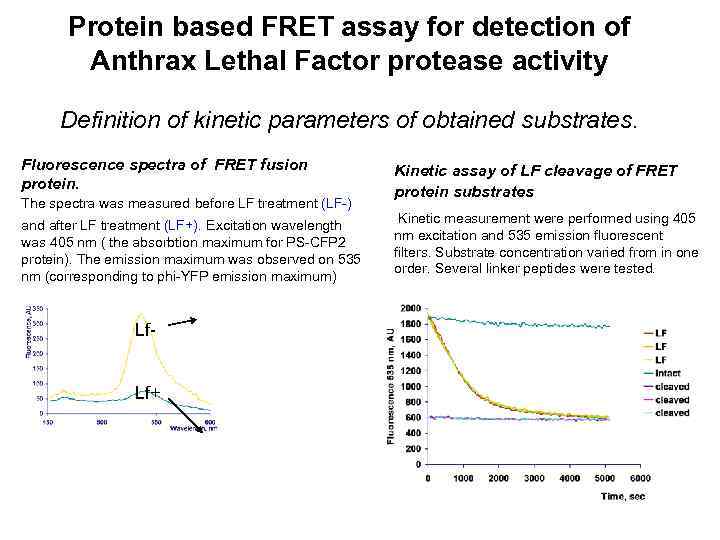 Protein based FRET assay for detection of Anthrax Lethal Factor protease activity Definition of