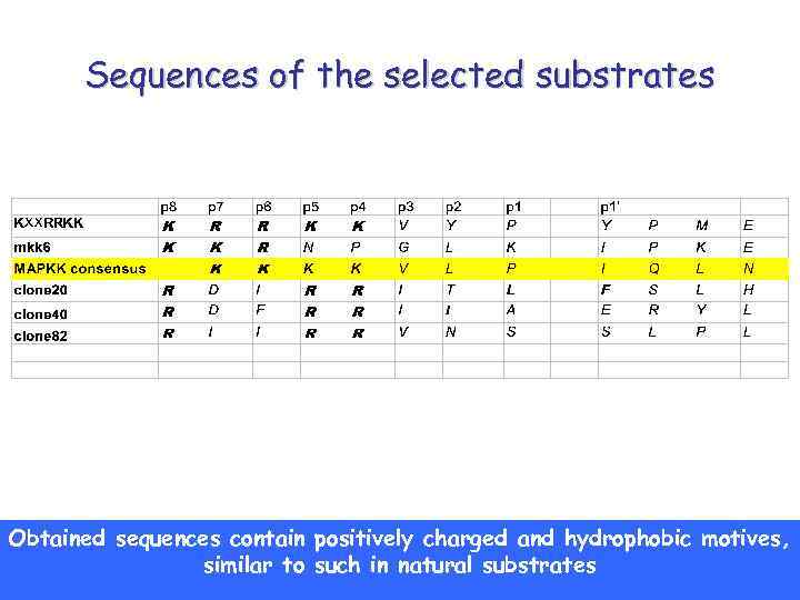 Sequences of the selected substrates Obtained sequences contain positively charged and hydrophobic motives, similar
