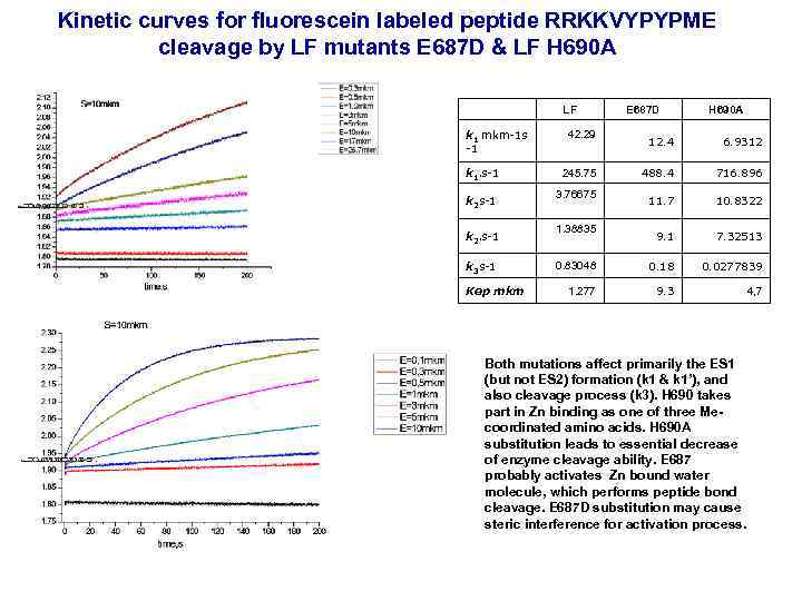 Kinetic curves for fluorescein labeled peptide RRKKVYPYPME cleavage by LF mutants E 687 D