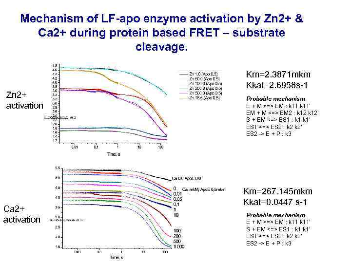 Mechanism of LF-apo enzyme activation by Zn 2+ & Ca 2+ during protein based