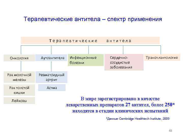 Терапевтические антитела – спектр применения Терапевтические антитела Инфекционные болезни Сердечнососудистые заболевания Онкология Аутоантитела Рак