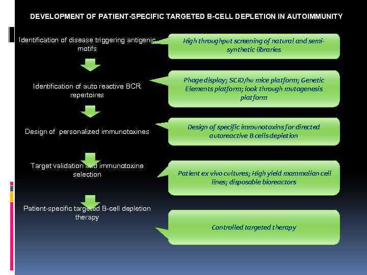 DEVELOPMENT OF PATIENT-SPECIFIC TARGETED B-CELL DEPLETION IN AUTOIMMUNITY Identification of disease triggering antigenic motifs