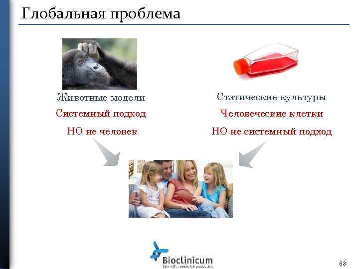 Глобальная проблема Животные модели Статические культуры Системный подход Человеческие клетки НО не человек НО