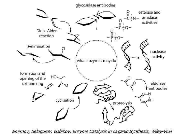Smirnov, Belogurov, Gabibov. Enzyme Catalysis in Organic Synthesis, Wiley-VCH 