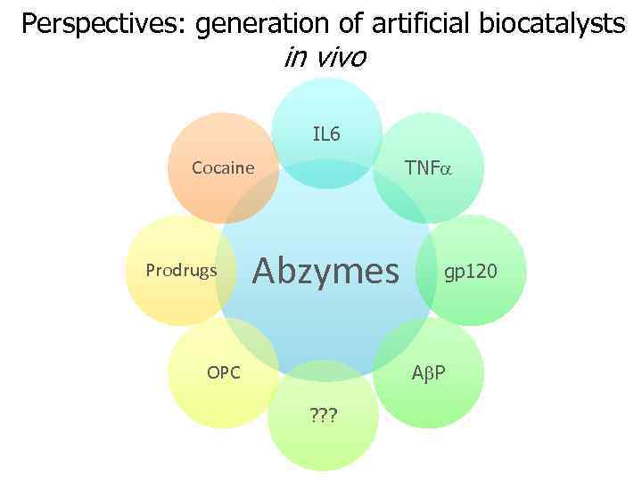 Perspectives: generation of artificial biocatalysts in vivo IL 6 TNFa Cocaine Prodrugs Abzymes gp