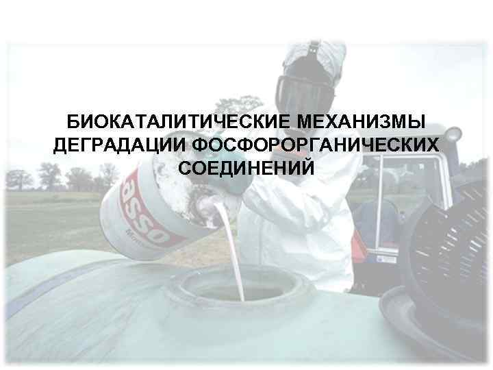 БИОКАТАЛИТИЧЕСКИЕ МЕХАНИЗМЫ ДЕГРАДАЦИИ ФОСФОРОРГАНИЧЕСКИХ СОЕДИНЕНИЙ 