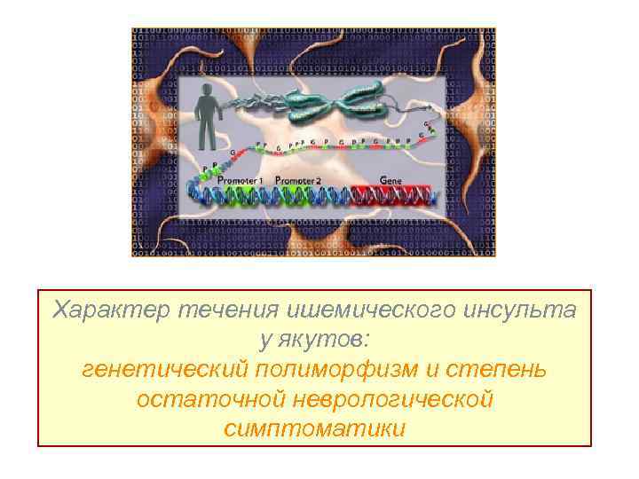 Характер течения ишемического инсульта у якутов: генетический полиморфизм и степень остаточной неврологической симптоматики 