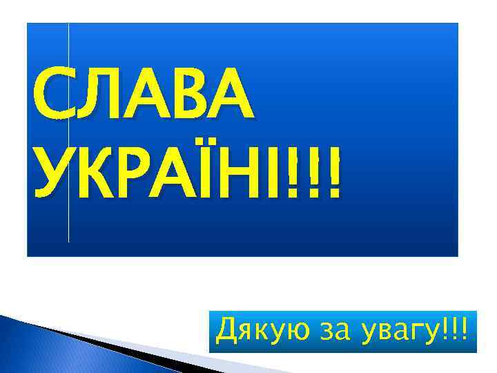 СЛАВА УКРАЇНІ!!! Дякую за увагу!!! 
