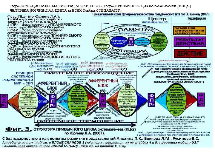 Теория функциональных систем. Анохин теория. Теория действующих систем Анохина. Теория ПК Анохина.