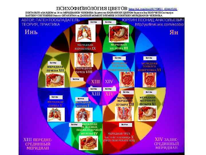 ПСИХОФИЗИОЛОГИЯ ЦВЕТОВ https: //vk. com/doc 191779621_424410181 ПОСТАВЬТЕ в КАЖДОМ из 14 -ти МЕРИДИАНОВ ЧЕЛОВЕКА
