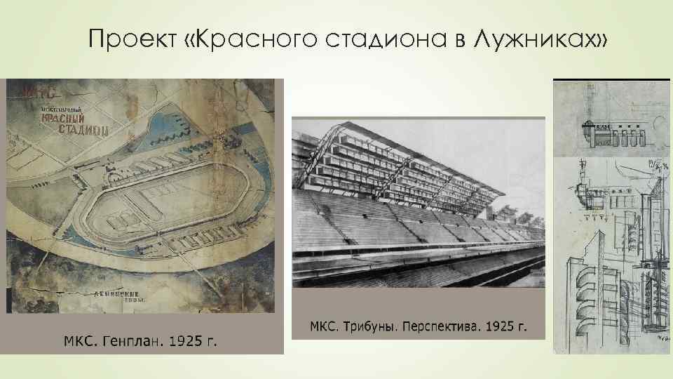 Проект «Красного стадиона в Лужниках» 