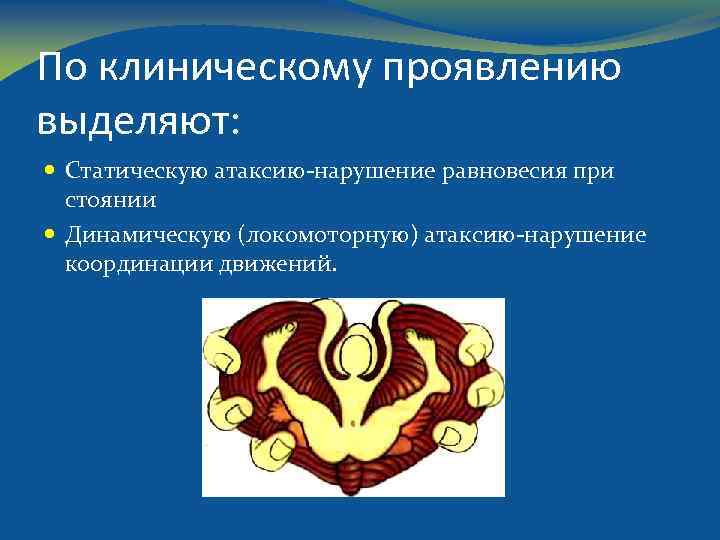 По клиническому проявлению выделяют: Статическую атаксию-нарушение равновесия при стоянии Динамическую (локомоторную) атаксию-нарушение координации движений.