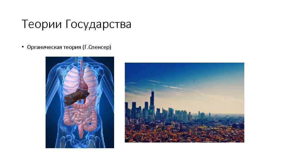 Теории Государства • Органическая теория (Г. Спенсер) 