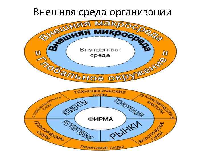 Внешняя среда организации 