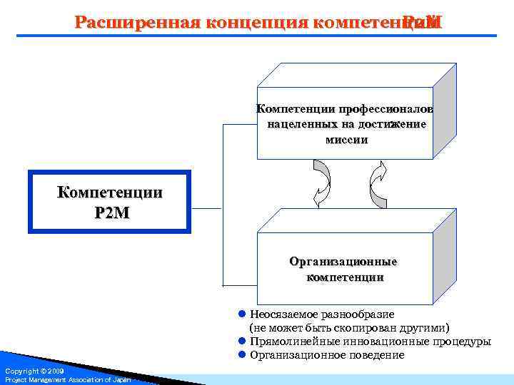 Организация п 2. Стандарт управления проектами p2m. Компетенции p2m. Концептуальная компетентность это. Недостатки стандарта p2m.