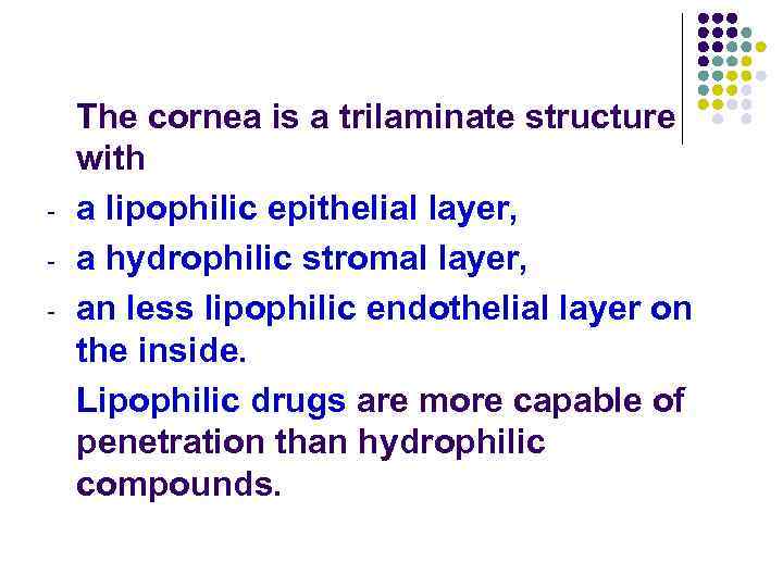 - The cornea is a trilaminate structure with a lipophilic epithelial layer, a hydrophilic