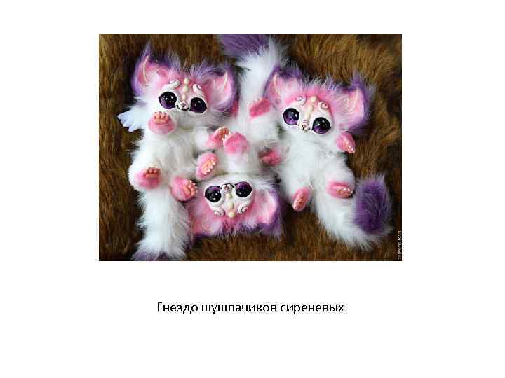 Гнездо шушпачиков сиреневых 