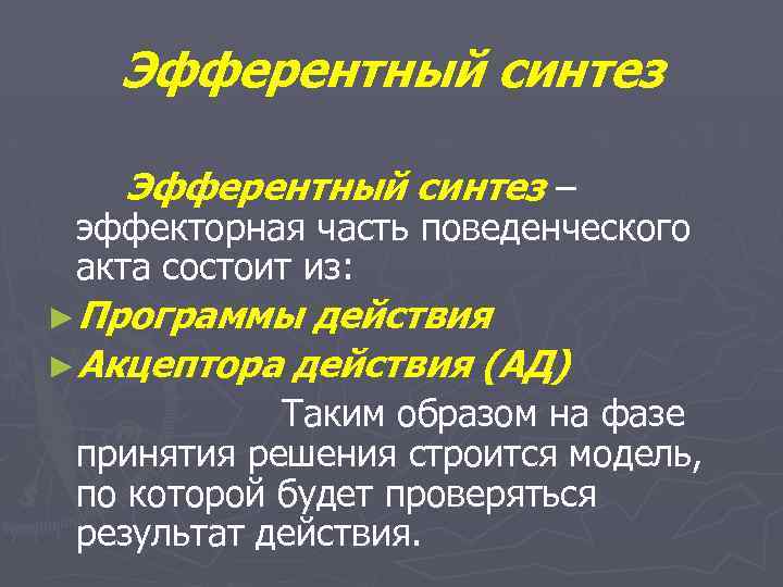 Эфферентный синтез – эффекторная часть поведенческого акта состоит из: ►Программы действия ►Акцептора действия (АД)