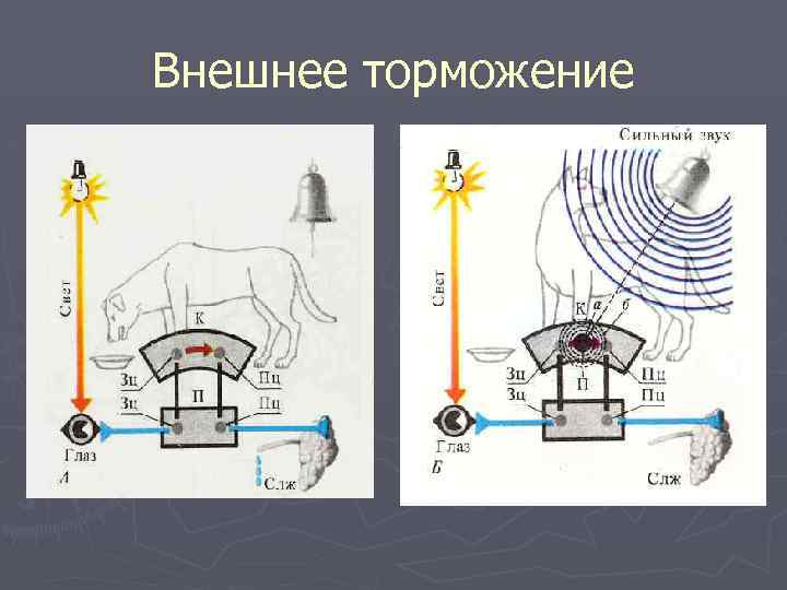 Внешнее торможение 