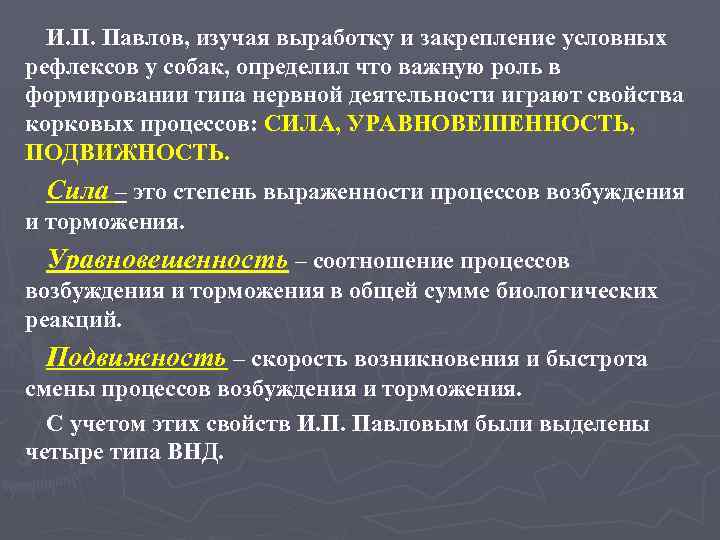 И. П. Павлов, изучая выработку и закрепление условных рефлексов у собак, определил что важную