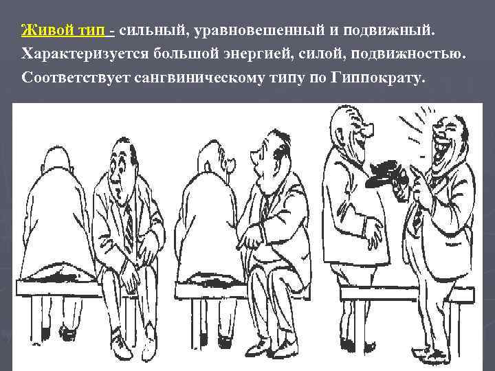 Живой тип - сильный, уравновешенный и подвижный. Характеризуется большой энергией, силой, подвижностью. Соответствует сангвиническому