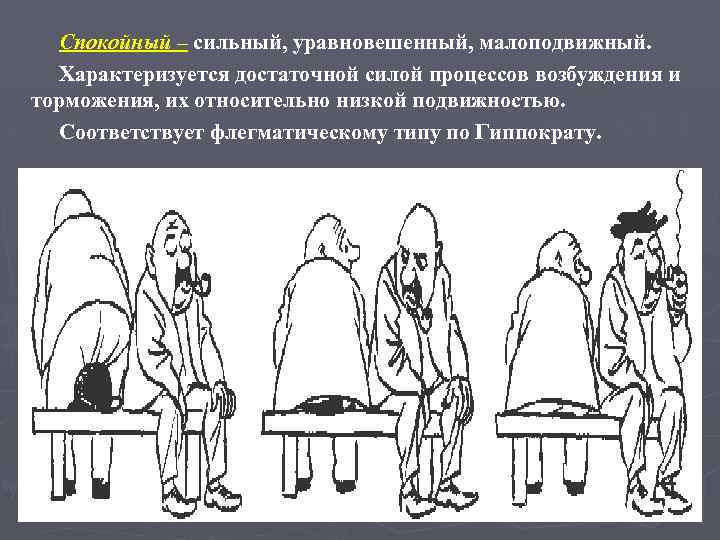 Спокойный – сильный, уравновешенный, малоподвижный. Характеризуется достаточной силой процессов возбуждения и торможения, их относительно