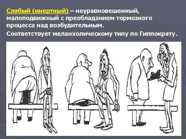 Слабый (инертный) – неуравновешенный, малоподвижный с преобладанием тормозного процесса над возбудительным. Соответствует меланхолическому типу