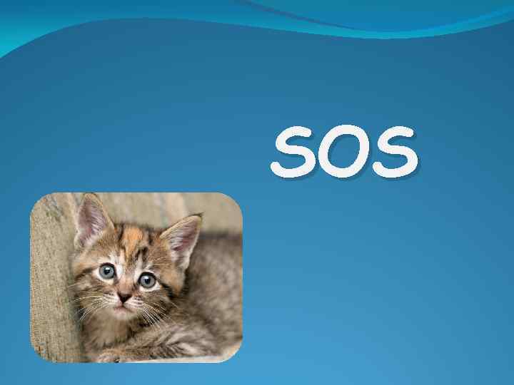 SOS 