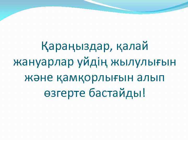 Қараңыздар, қалай жануарлар уйдің жылулығын және қамқорлығын алып өзгерте бастайды! 