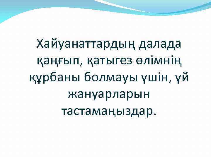 Хайуанаттардың далада қаңғып, қатыгез өлімнің құрбаны болмауы үшін, үй жануарларын тастамаңыздар. 