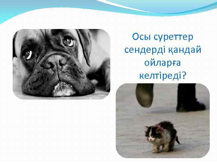 Осы суреттер сендерді қандай ойларға келтіреді? 