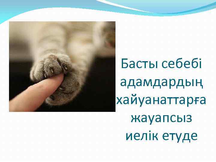 Басты себебі адамдардың хайуанаттарға жауапсыз иелік етуде 