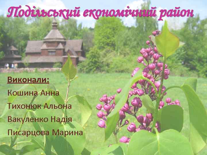 Подільський економічний район Виконали: Кошина Анна Тихонюк Альона Вакуленко Надія Писарцова Марина 