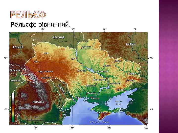 Рельєф: рівнинний. 