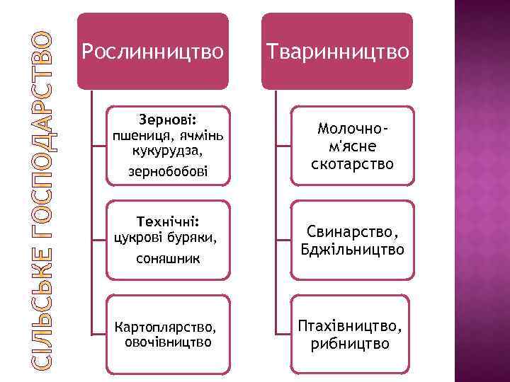 Рослинництво Зернові: пшениця, ячмінь кукурудза, зернобобові Тваринництво Молочном'ясне скотарство Технічні: цукрові буряки, соняшник Свинарство,
